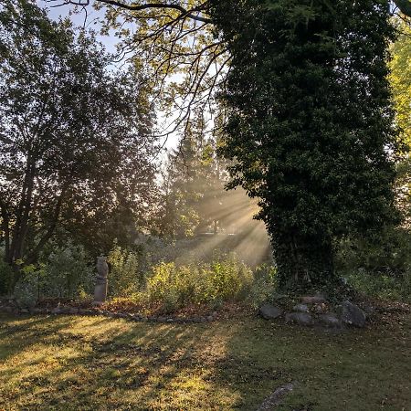 Schlossgut Gorow Satow Bagian luar foto